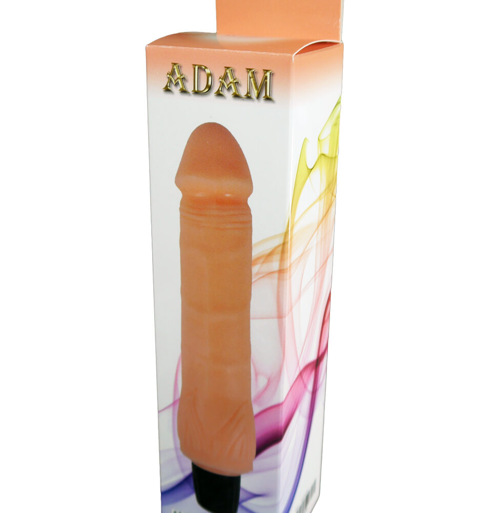 Vibrator-ADAM, 7 FUNCTION