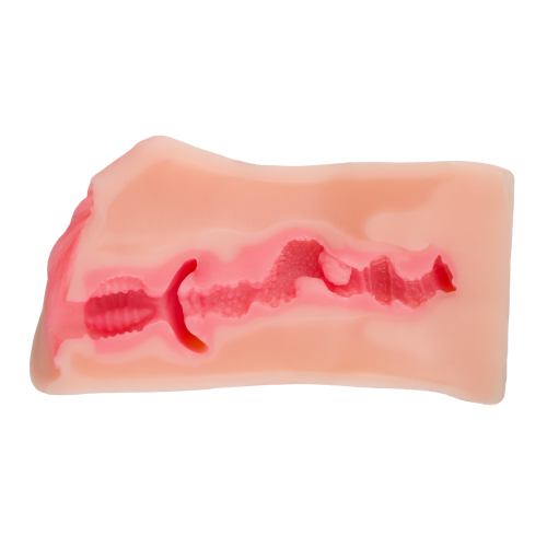 Extra Soft Realistic Masturbator Satisfaction Darling Touch - Image 3